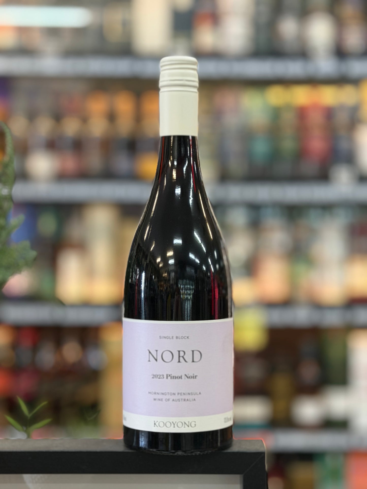 Kooyong Nord Pinot Noir 2023 (750ml)