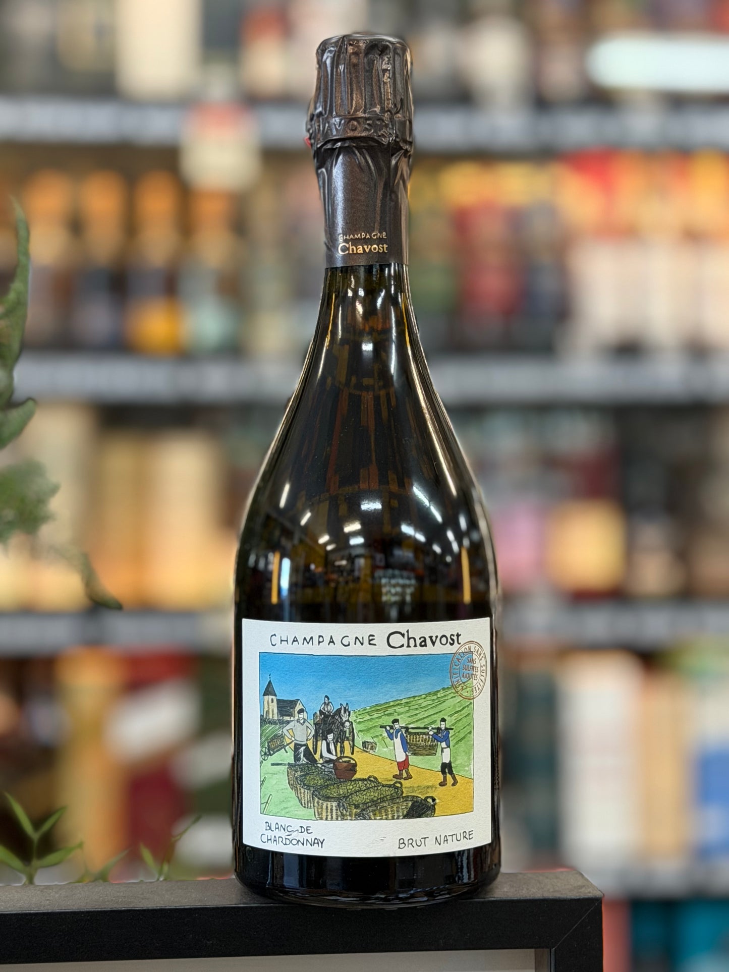 Champagne Chavost Blanc de Chardonnay Brut Nature (750ml)