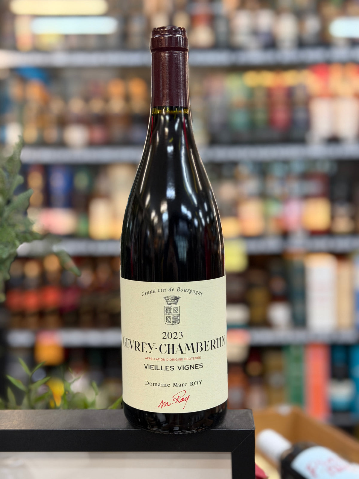 Domaine Marc Roy - Gevrey-Chambertin "Vielles Vignes" 2023 (750ml)