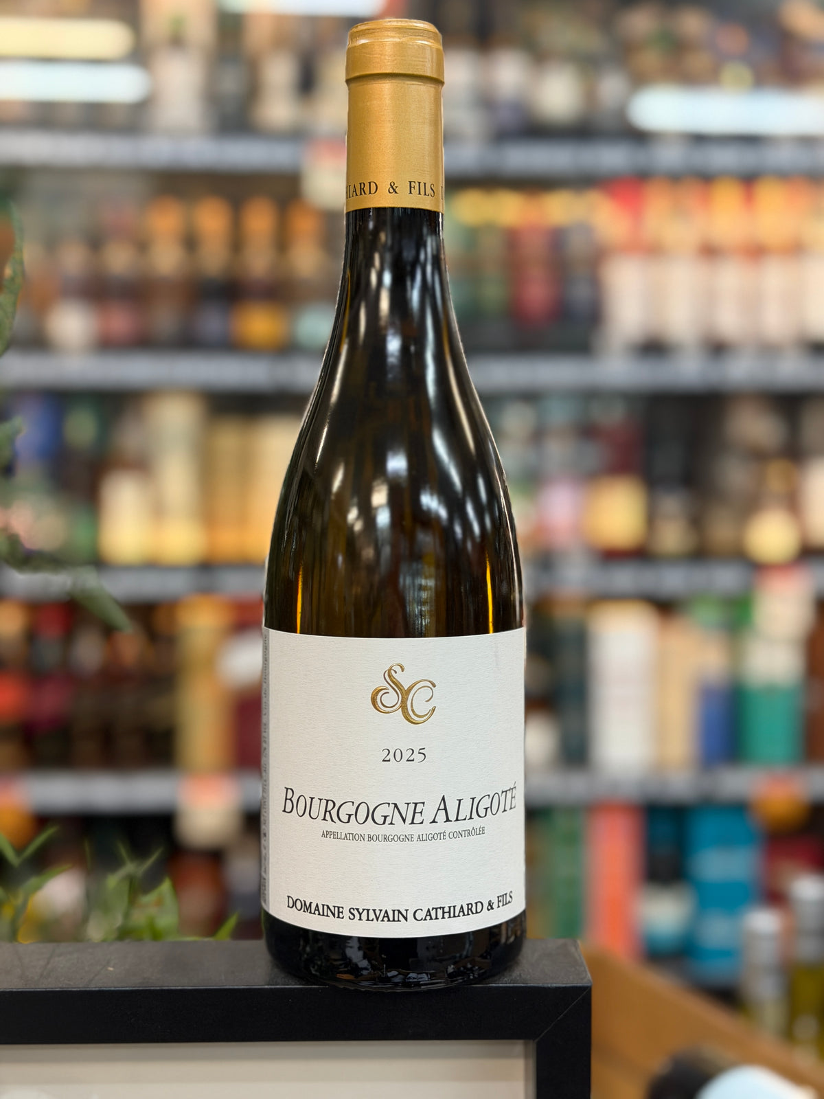 Sylvain Cathiard Bourgogne Aligote 2025 (750ml)