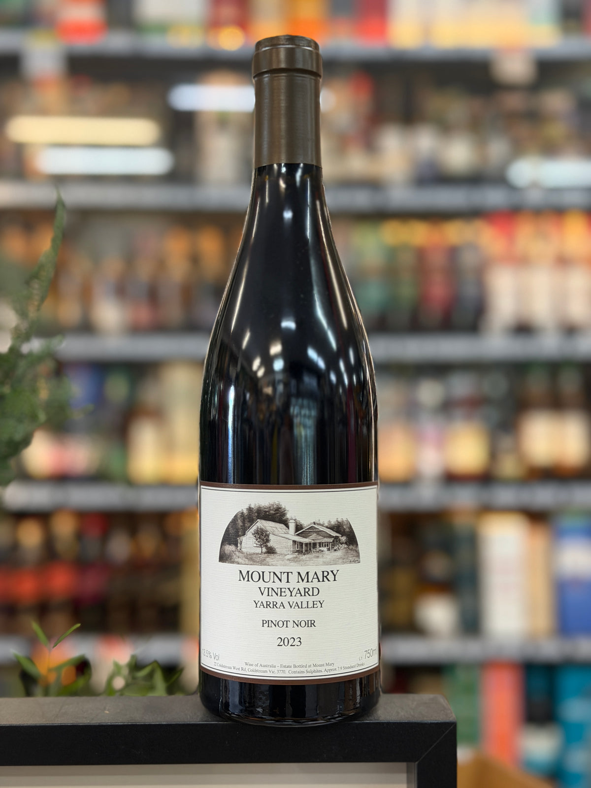 Mount Mary Pinot Noir 2023 (750ml)