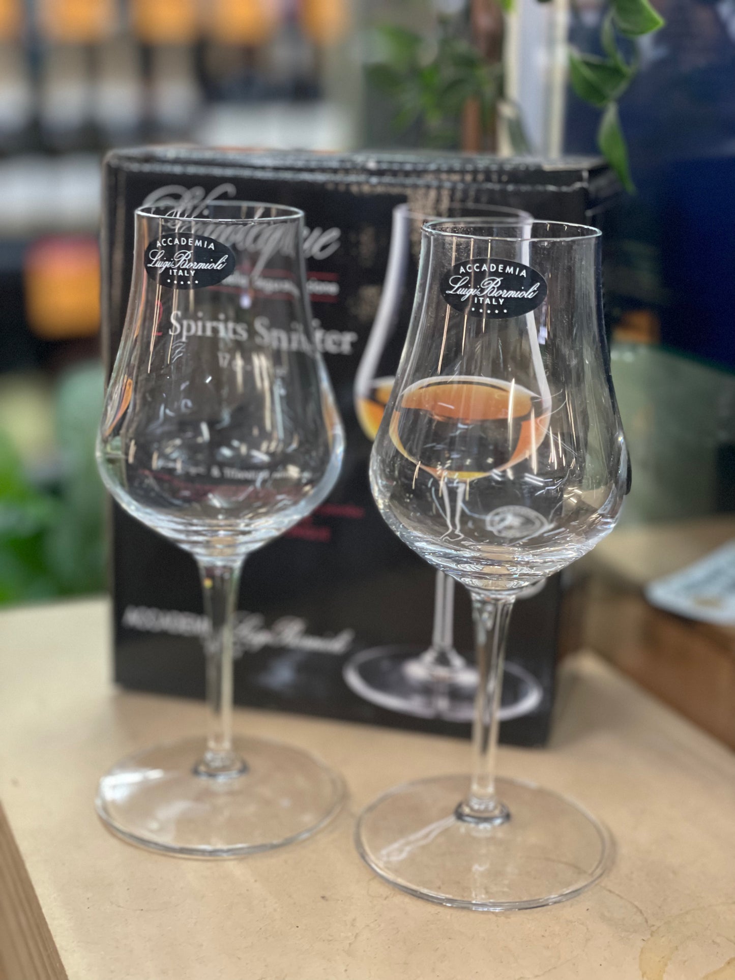 Luigi Bormioli Spirits Snifter Glass Set (2PK)