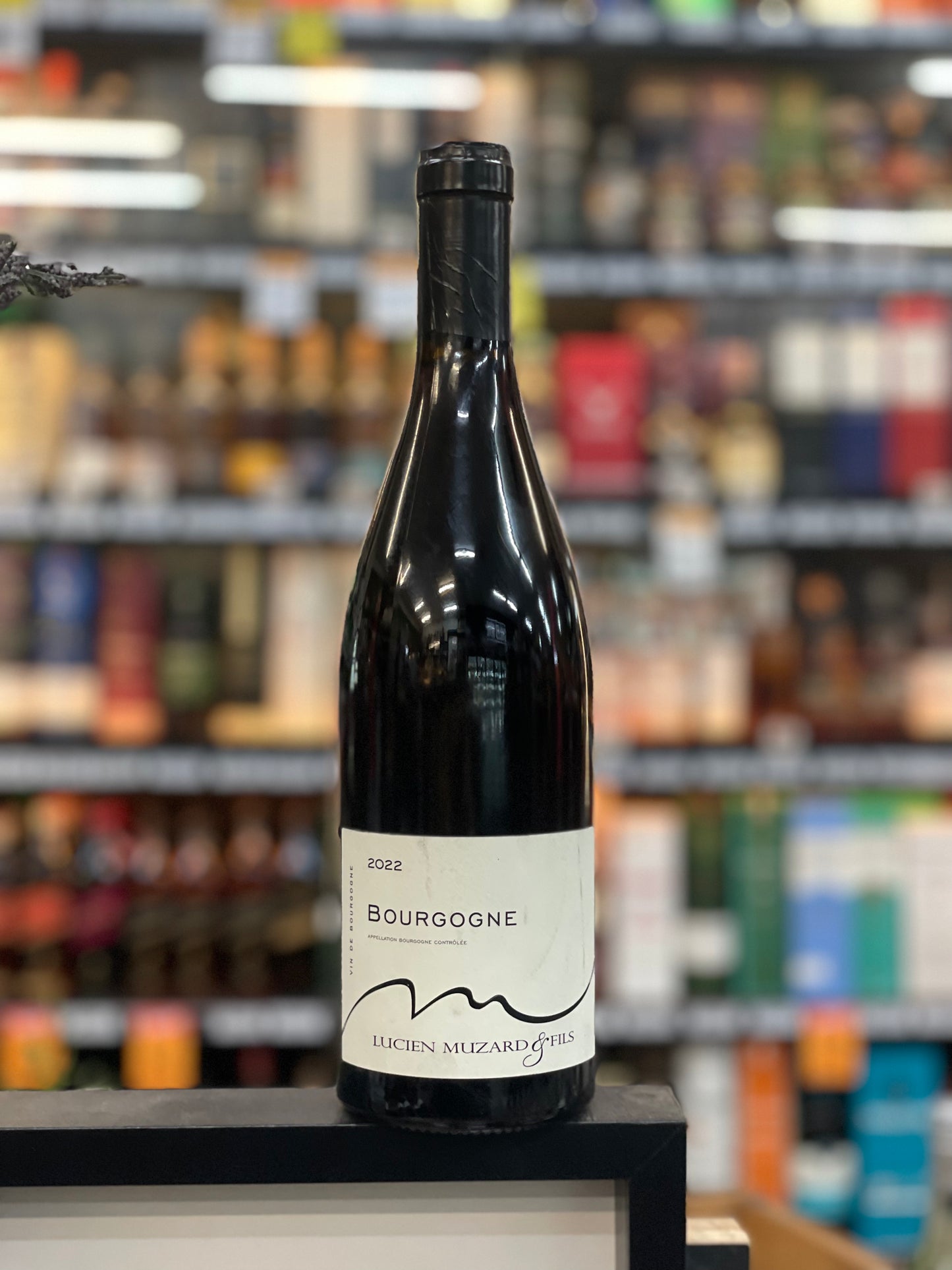 Lucien Muzard & Fils Bourgogne Rouge 2022 (750ml)