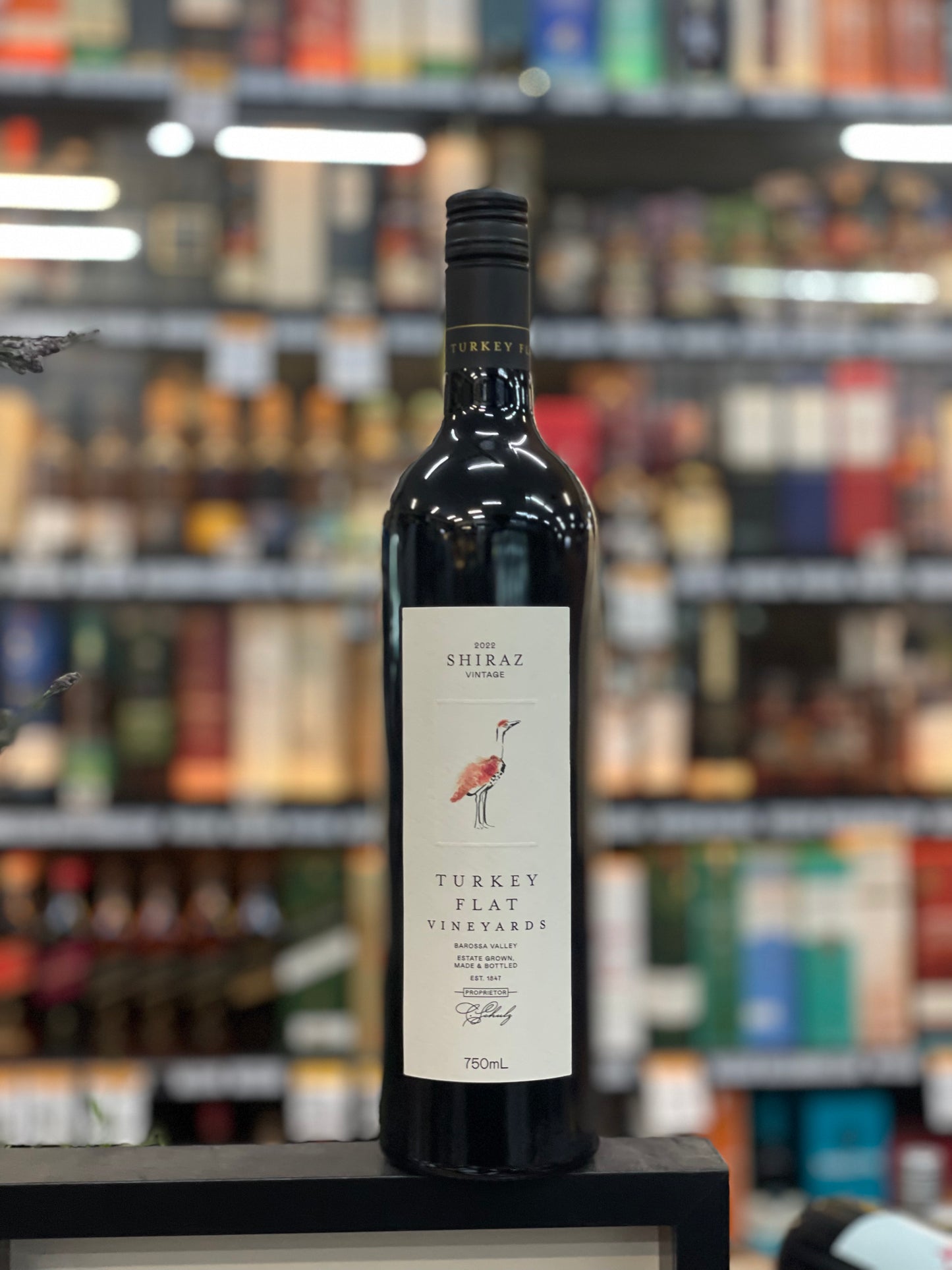 Turkey Flat 2022 Shiraz (750ml)