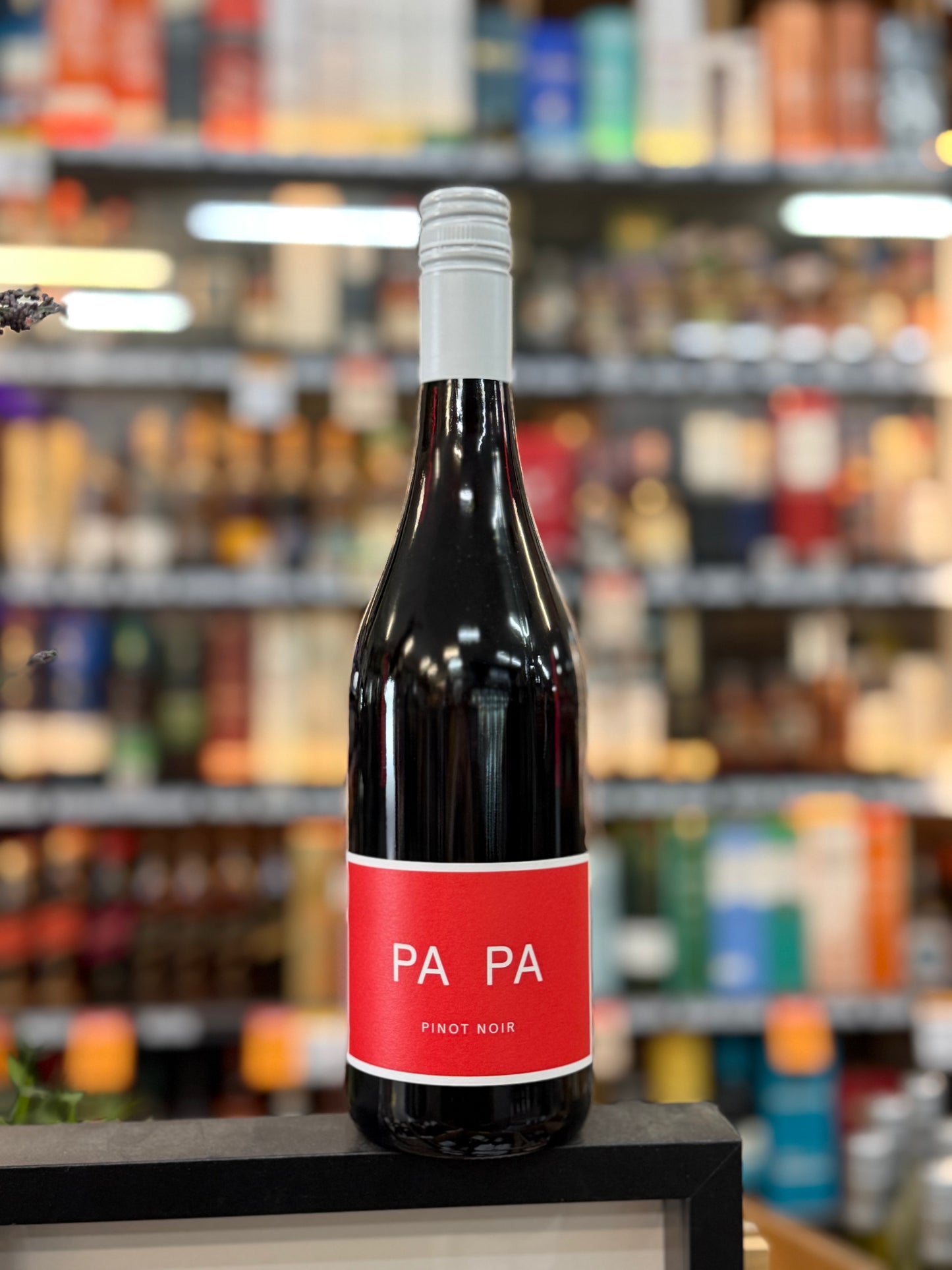 Xavier Papa Pinot Noir (750ml)