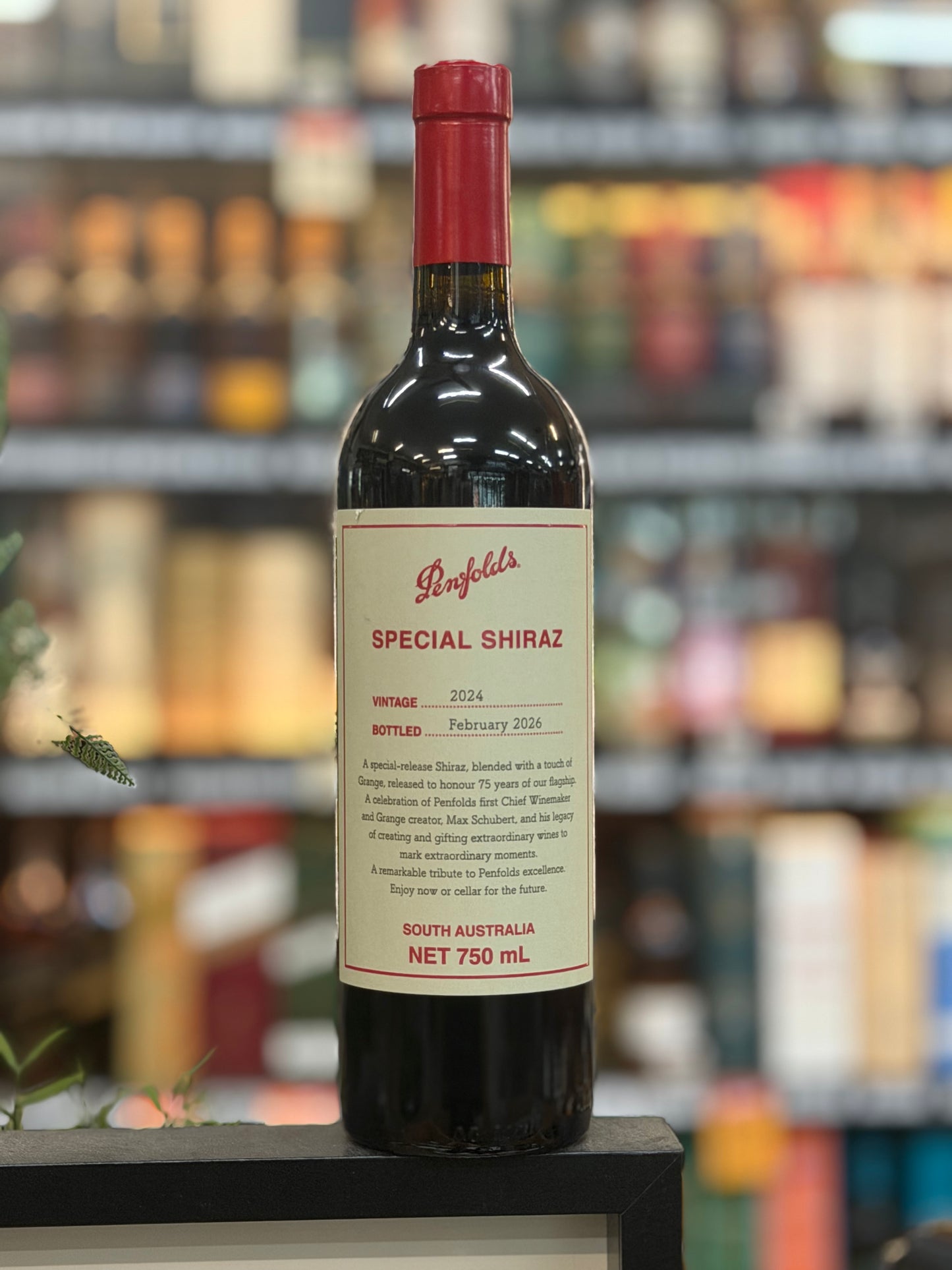 Penfolds Special Shiraz 2024 (750ml)