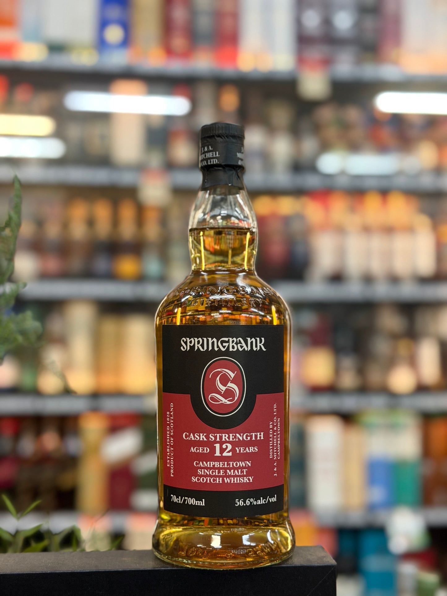 Springbank 12yo Cask Strength Single Malt Whisky 2026 Release (700ml)