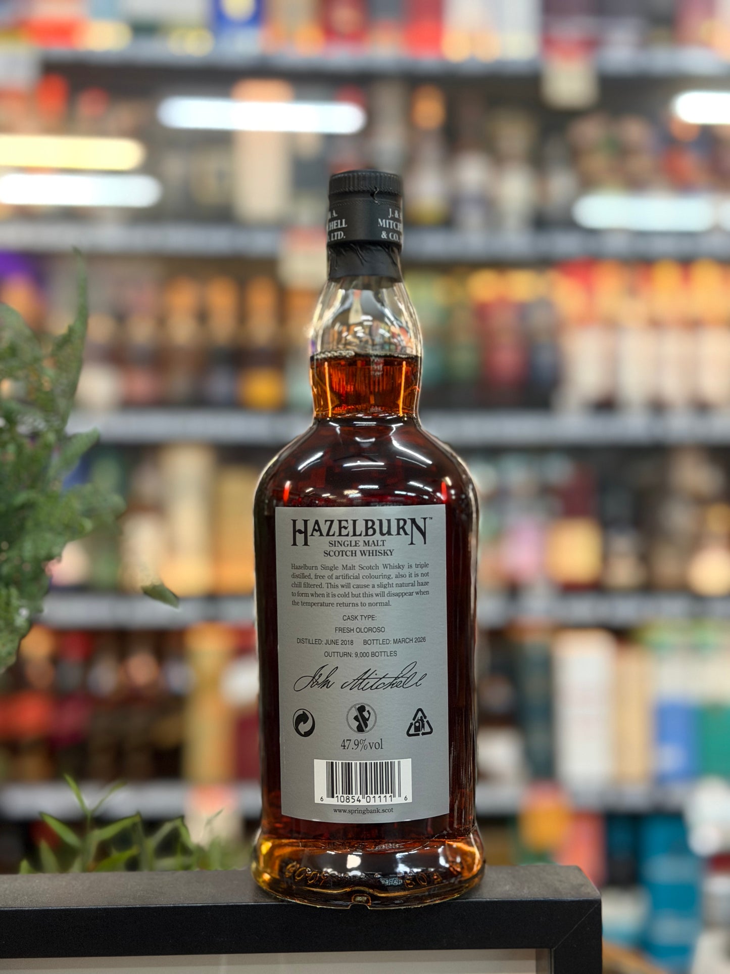 Hazelburn 7yo Sherry Wood Oloroso Sherry Casks 2026 Release (700ml)