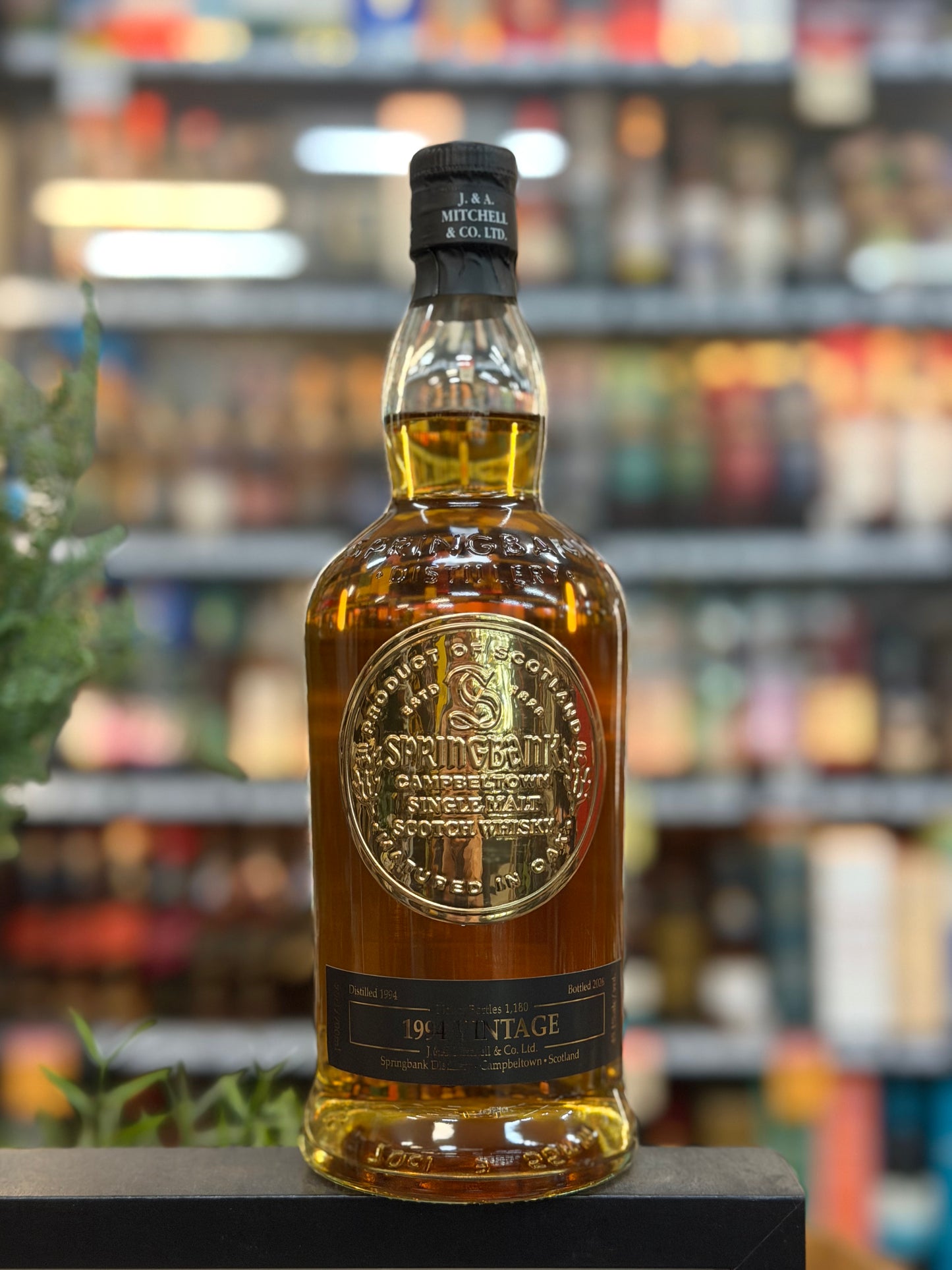 Springbank 31 years Old Vintage 1994 Single Malt Scotch Whisky 2026 Release (700ml)