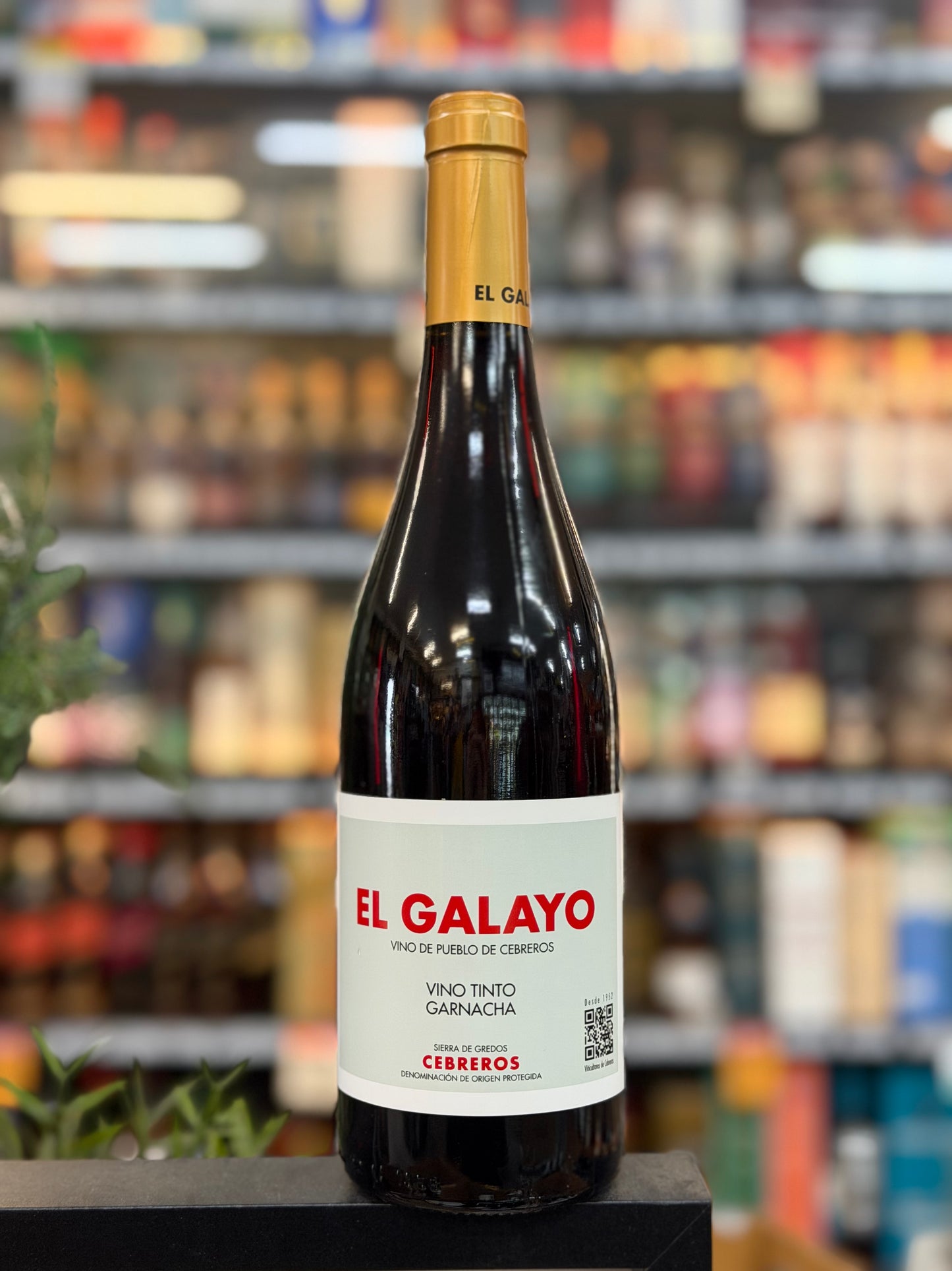 El Galayo Garnacha Tinto 2023 (750ml)