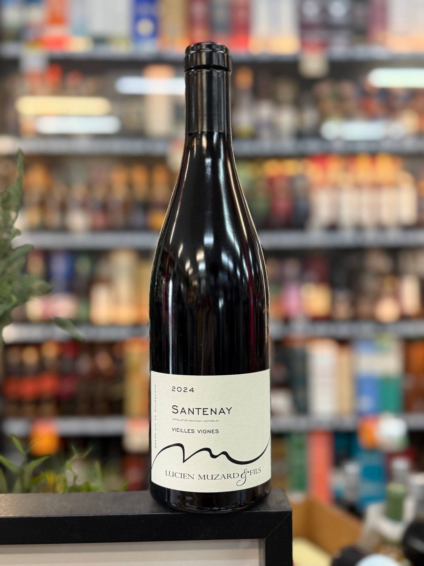 Lucien Muzard Santenay Vieilles Vignes 2024 (750ml)
