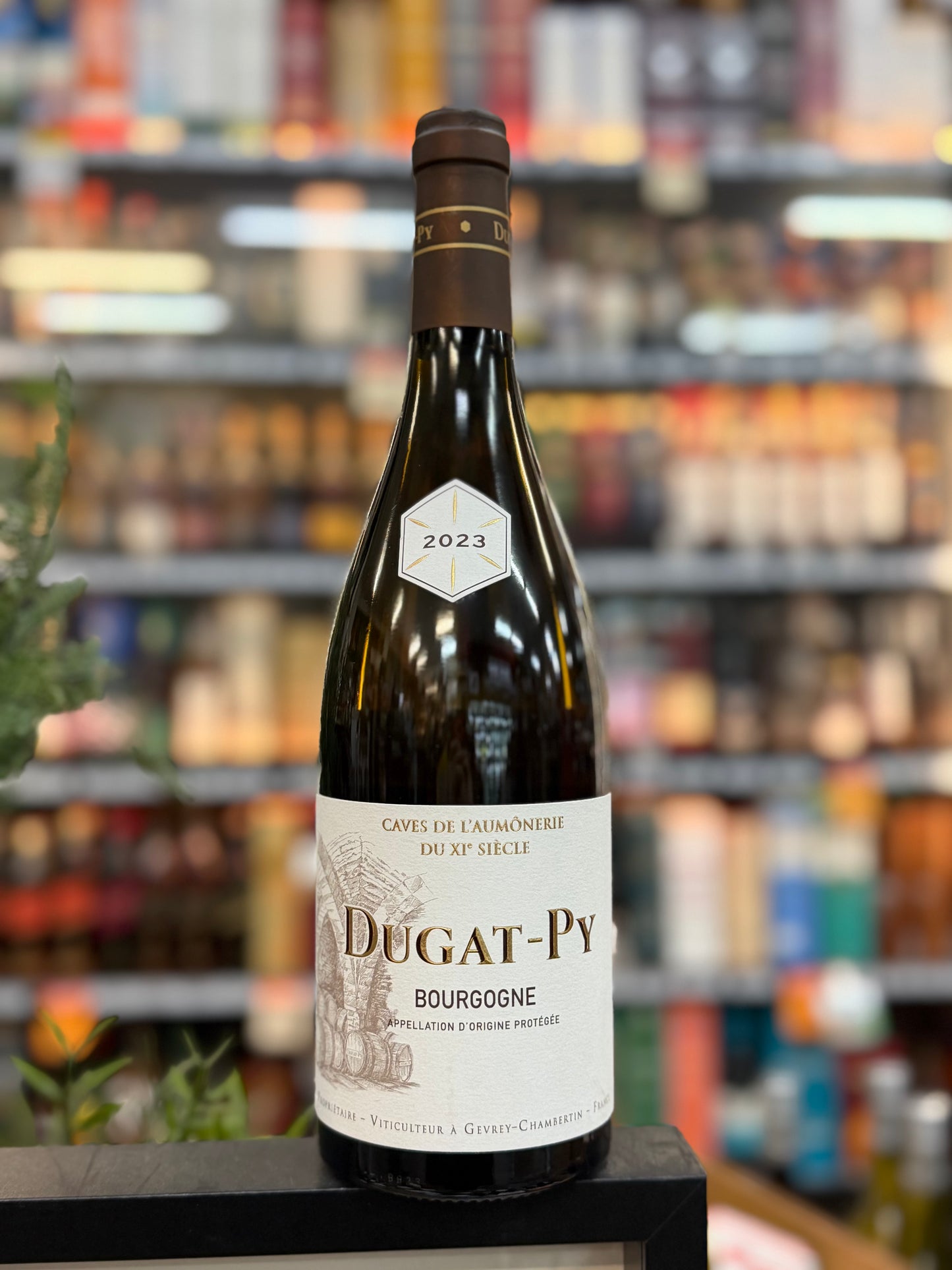 Domaine Dugat-Py Bourgogne Blanc 2023 (750ml)