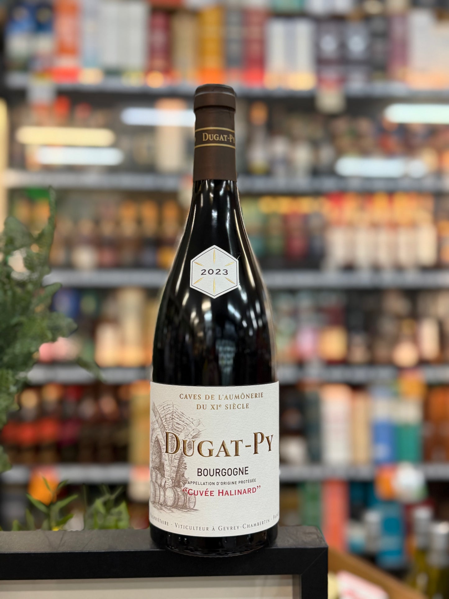 Domaine Dugat-Py Bourgogne Cuvee Halinard 2023 (750ml)