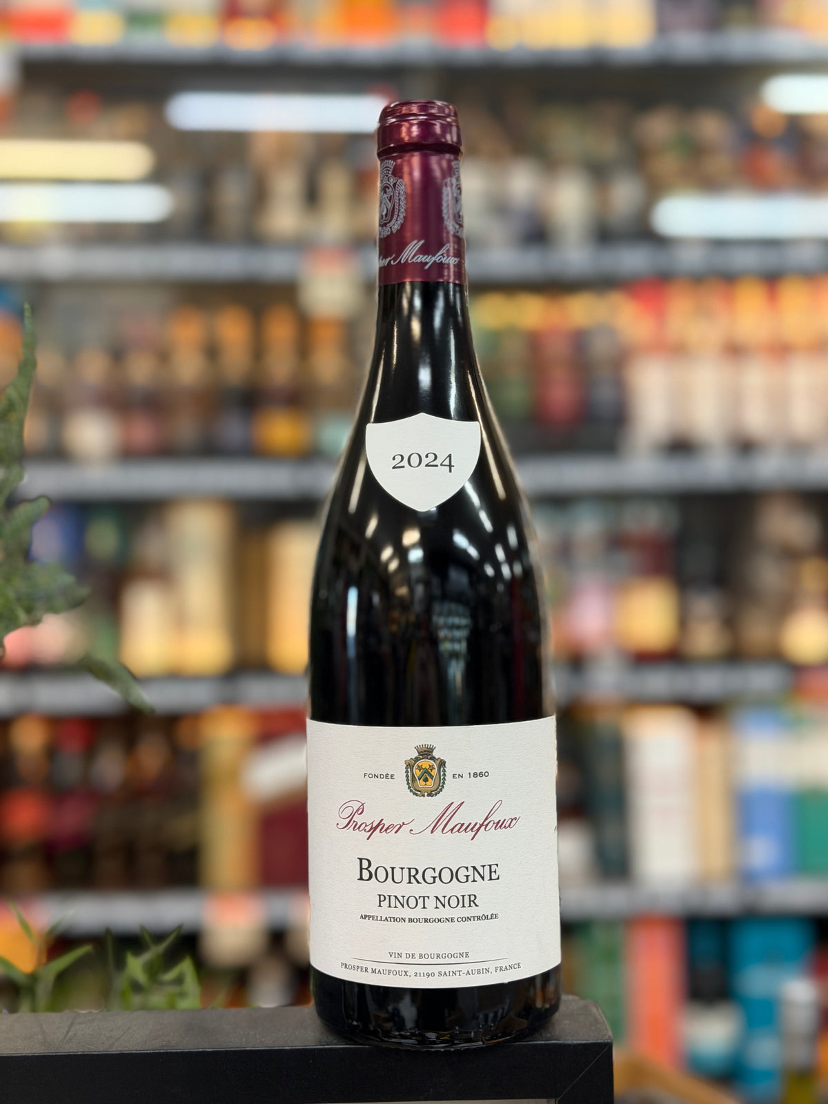 Domaine Prosper Maufoux Bourgogne Pinot Noir 2024 (750ml)