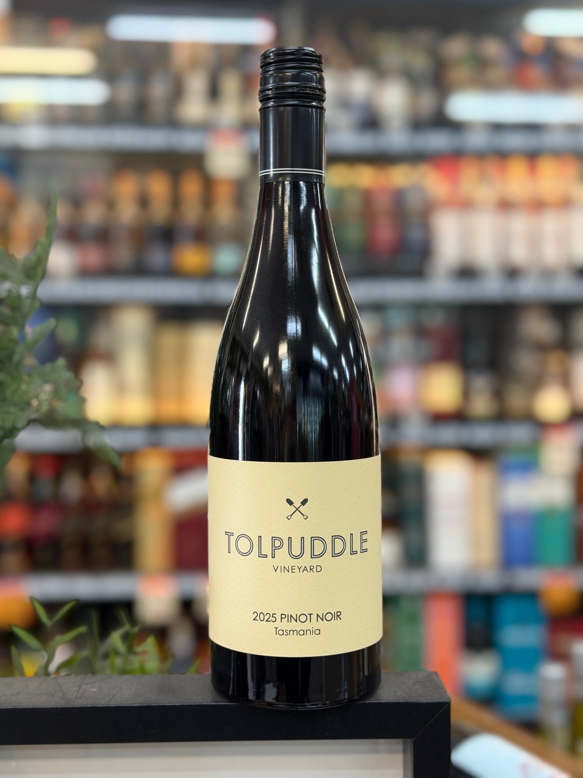 Tolpuddle Vineyard 2025 Pinot Noir (750ml) max 4 bottles per customer