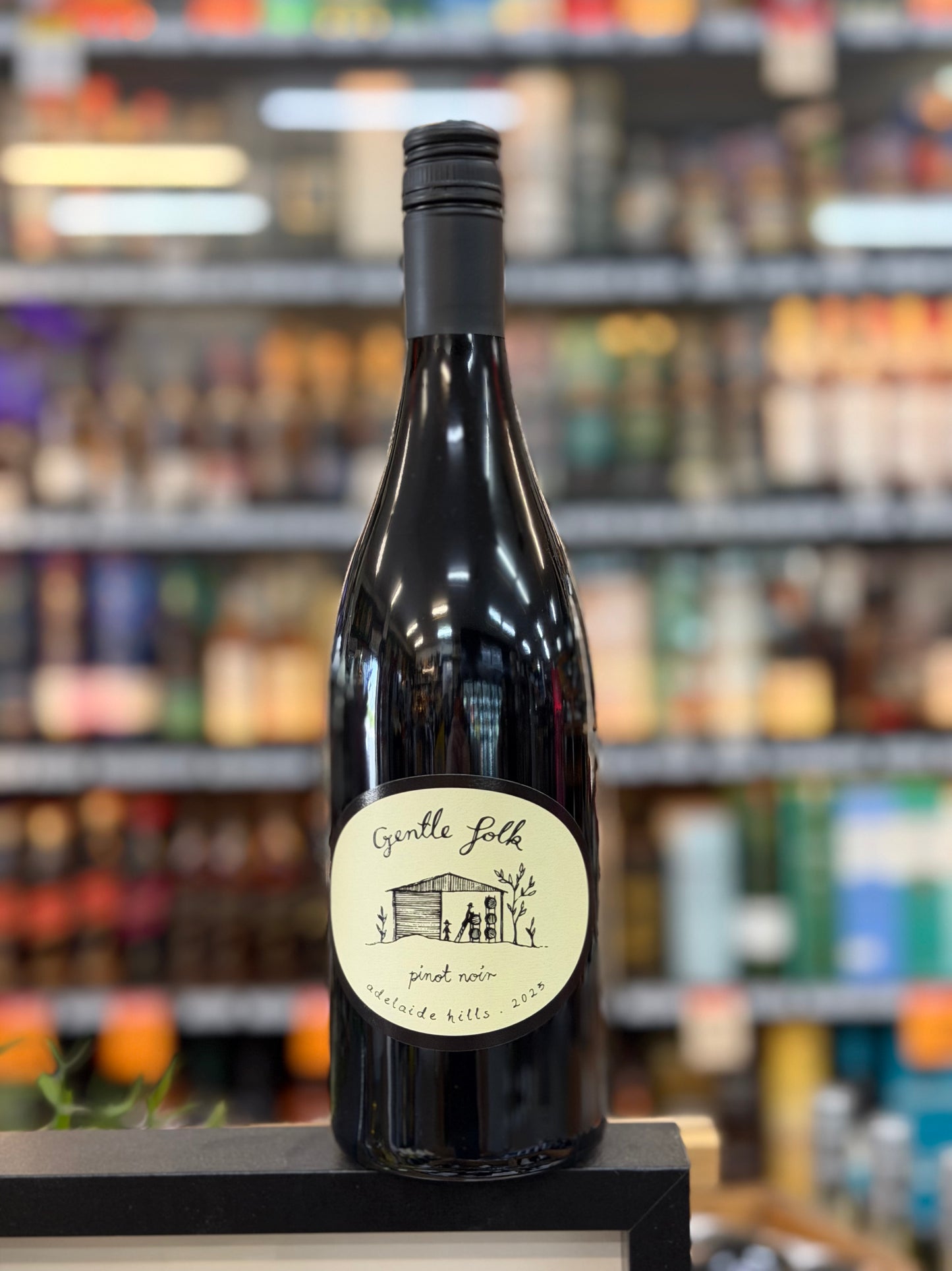 Gentle Folk Adelaide Hill Pinot Noir 2025 (750ml)